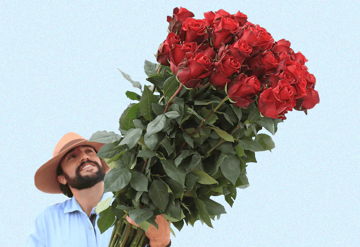 Rosaholics Review: Farm-Fresh Roses, Bold Colors & Fast Delivery