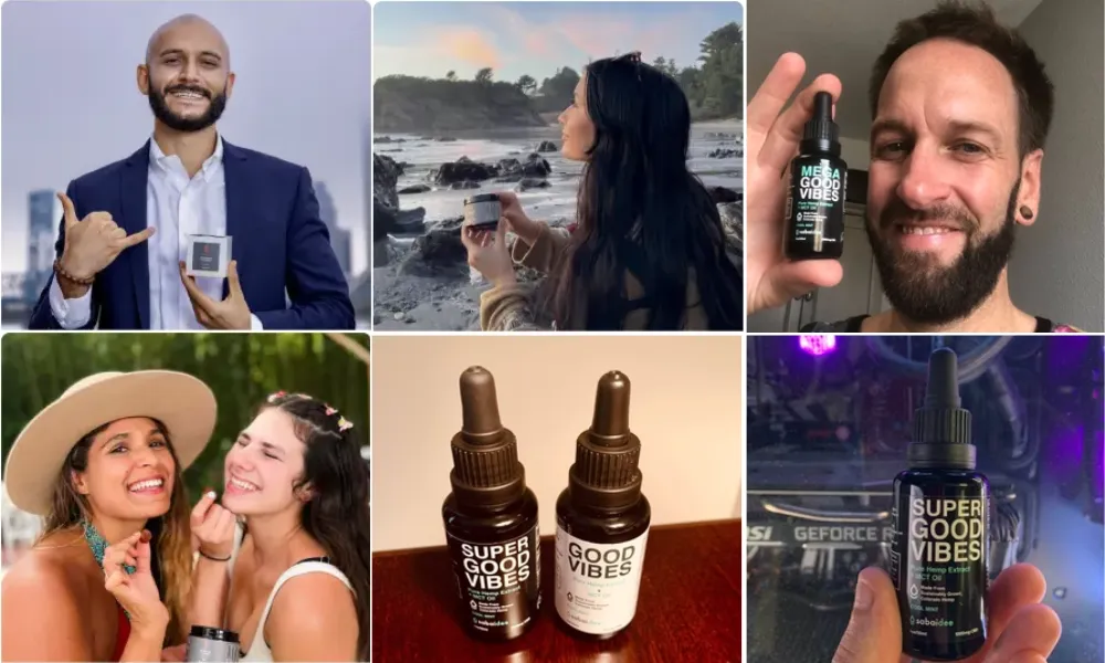 Customer Reviews and Reputation