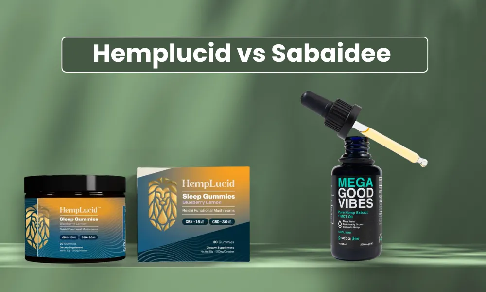 Hemplucid vs Sabaidee (2025): Which CBD Brand Fits Your Wellness Goals?