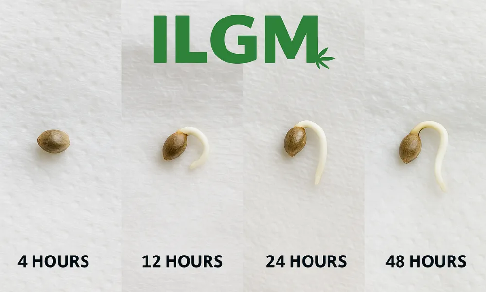 Seed Quality and Germination