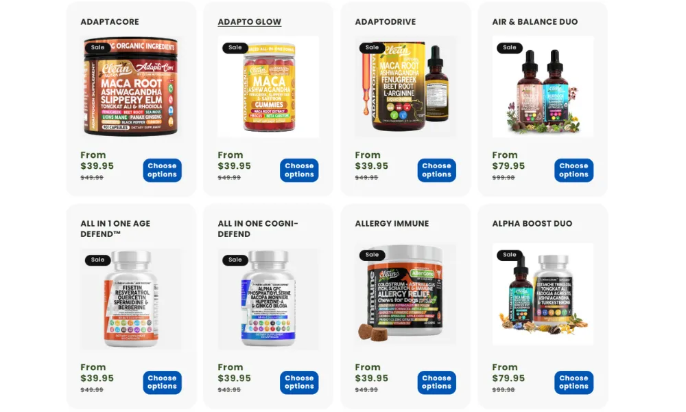 Website Experience and Subscription Options